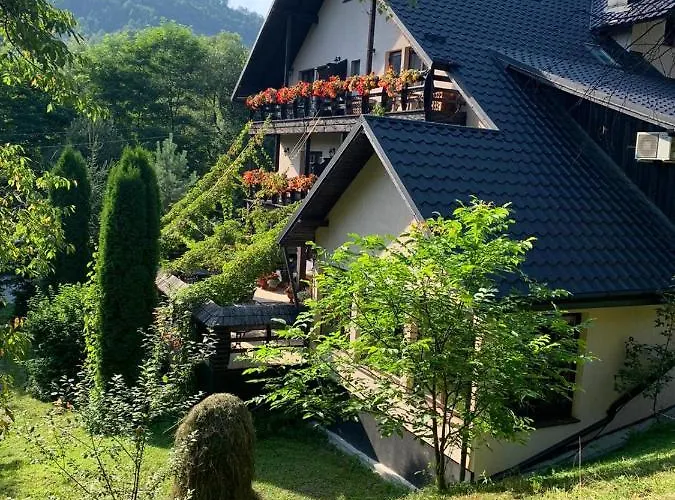 Pensiunea Mugur De Fluier Vama 