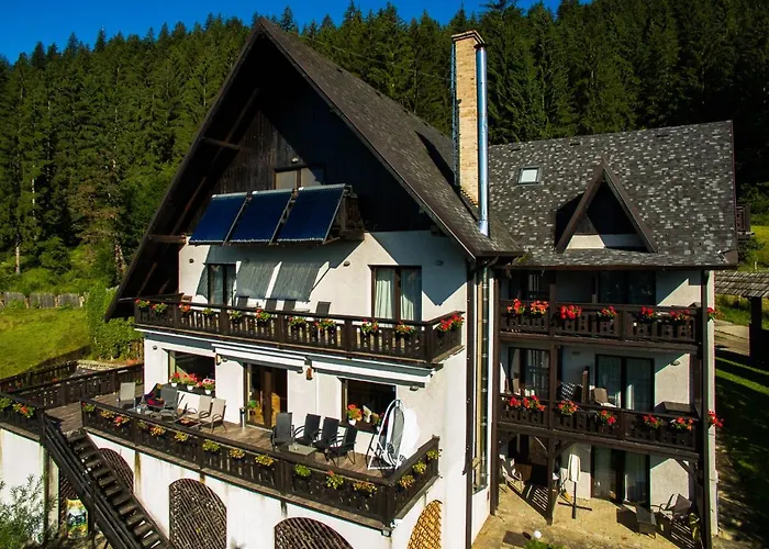 Bucovina Lodge Pension Vama 