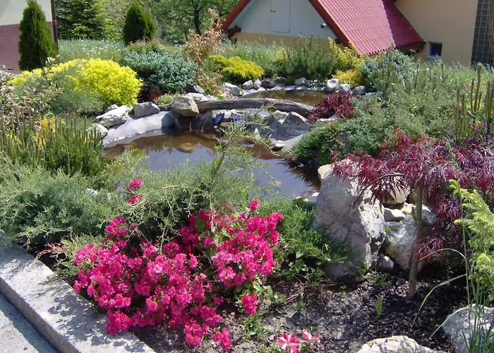 Pension Casa Vero Vama 